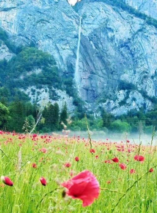 Apartmán Les Loges De L'Arpenaz Magland Exteriér fotografie